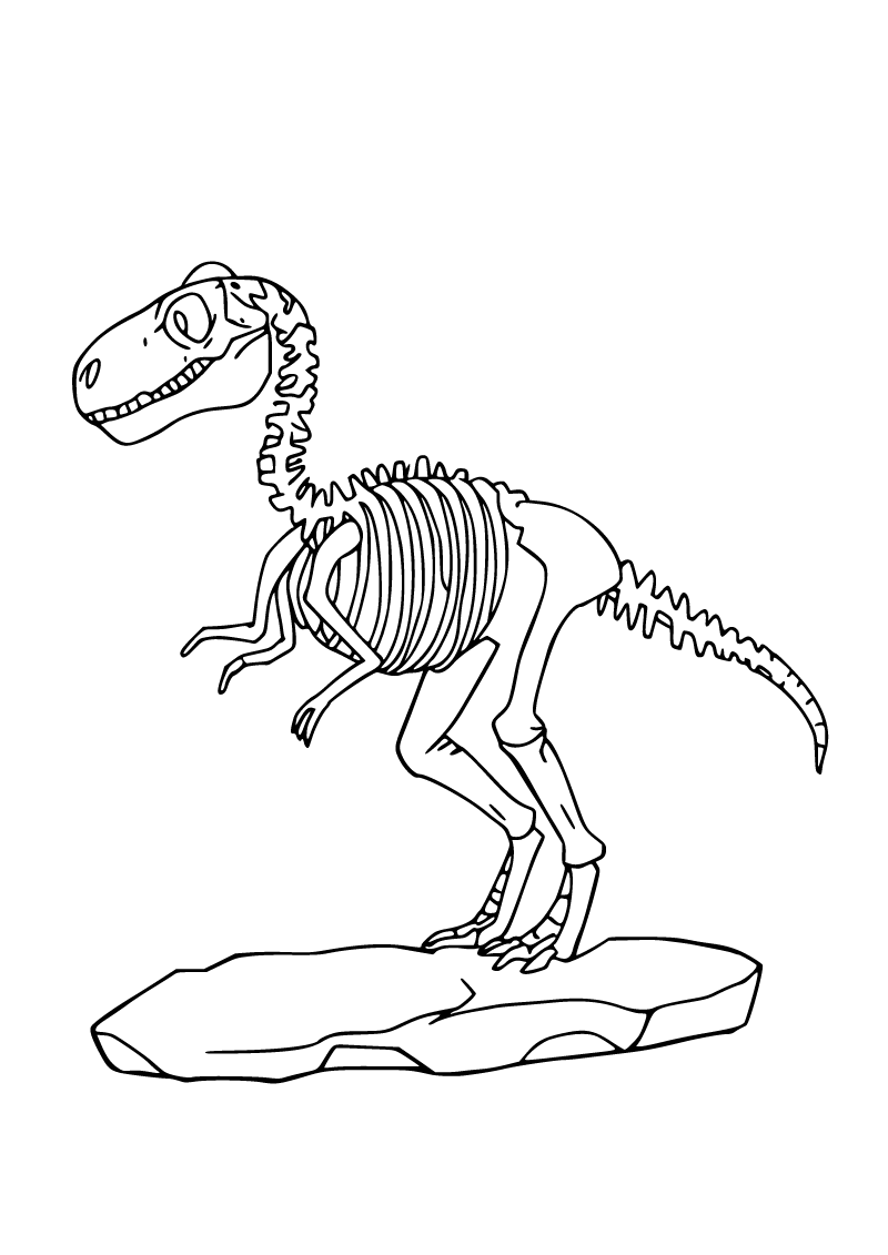 Dinozor fosili boyama sayfası