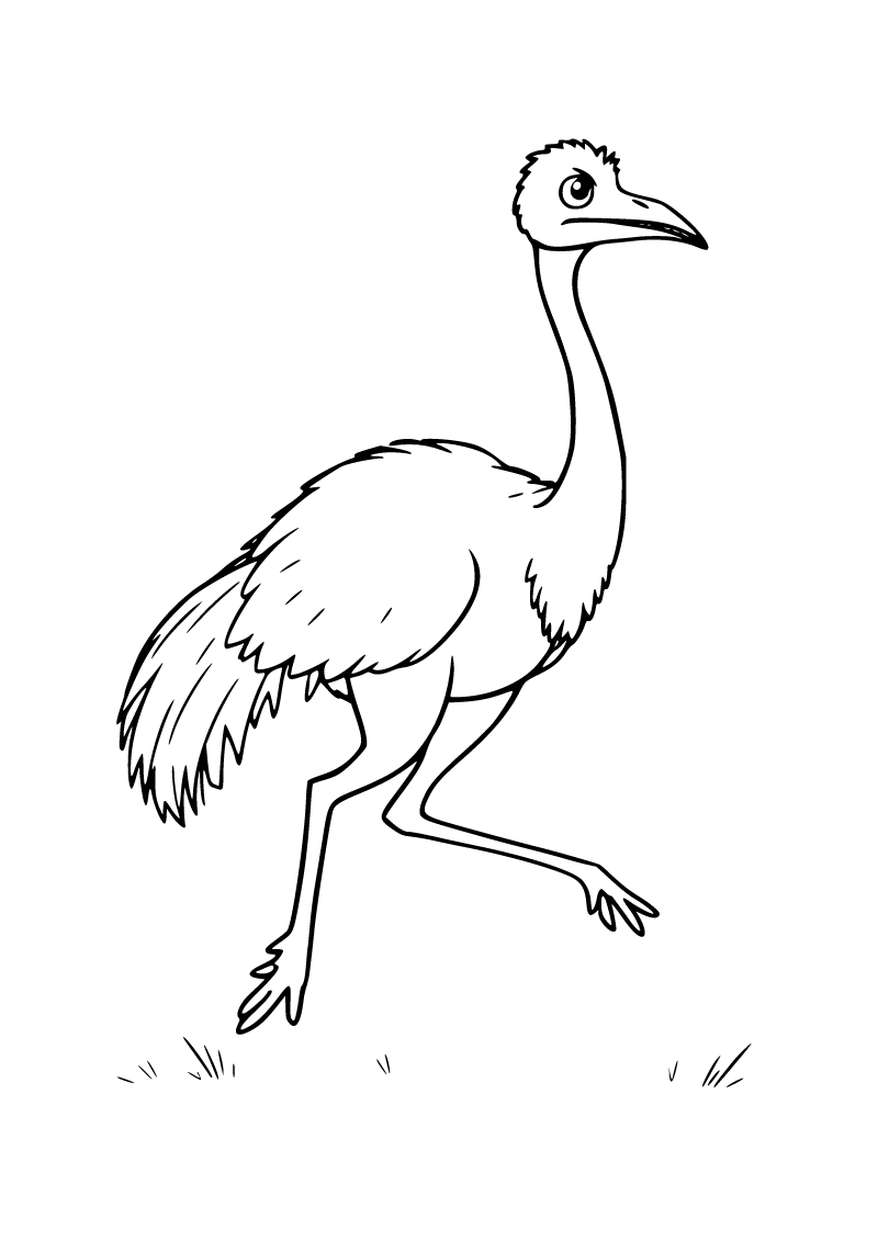 Gallimimus boyama sayfası