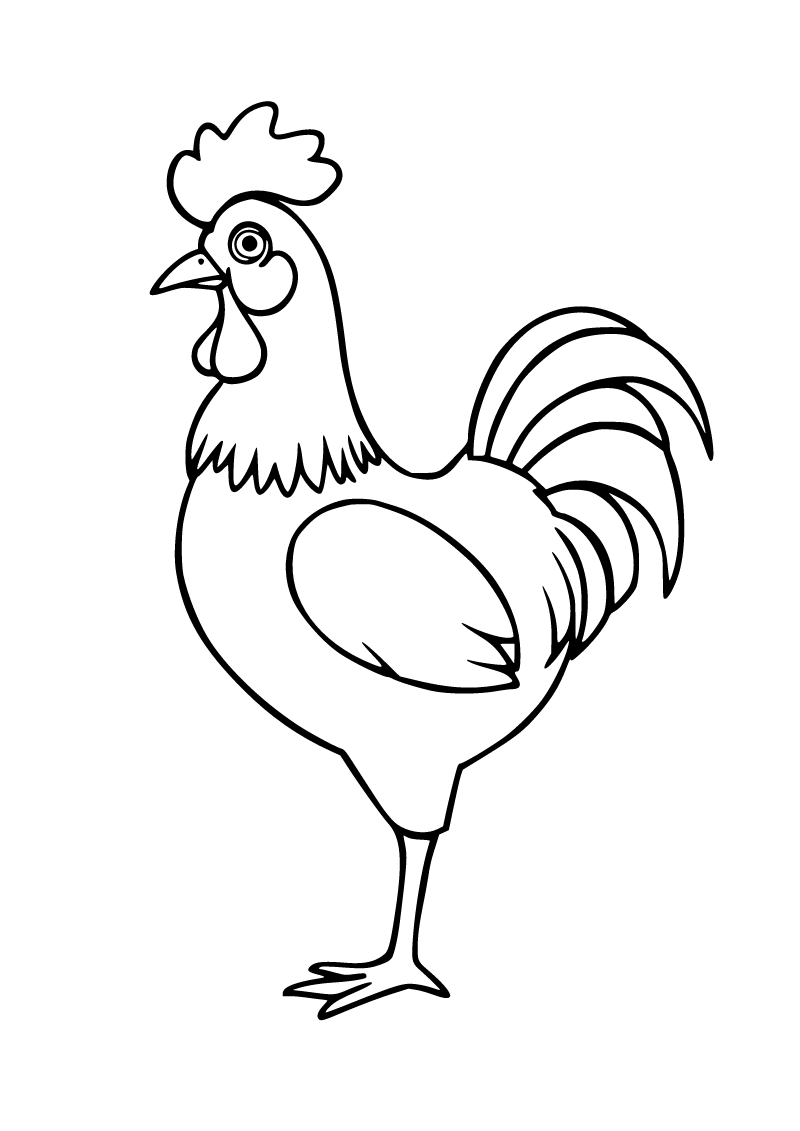 Horoz boyama sayfası