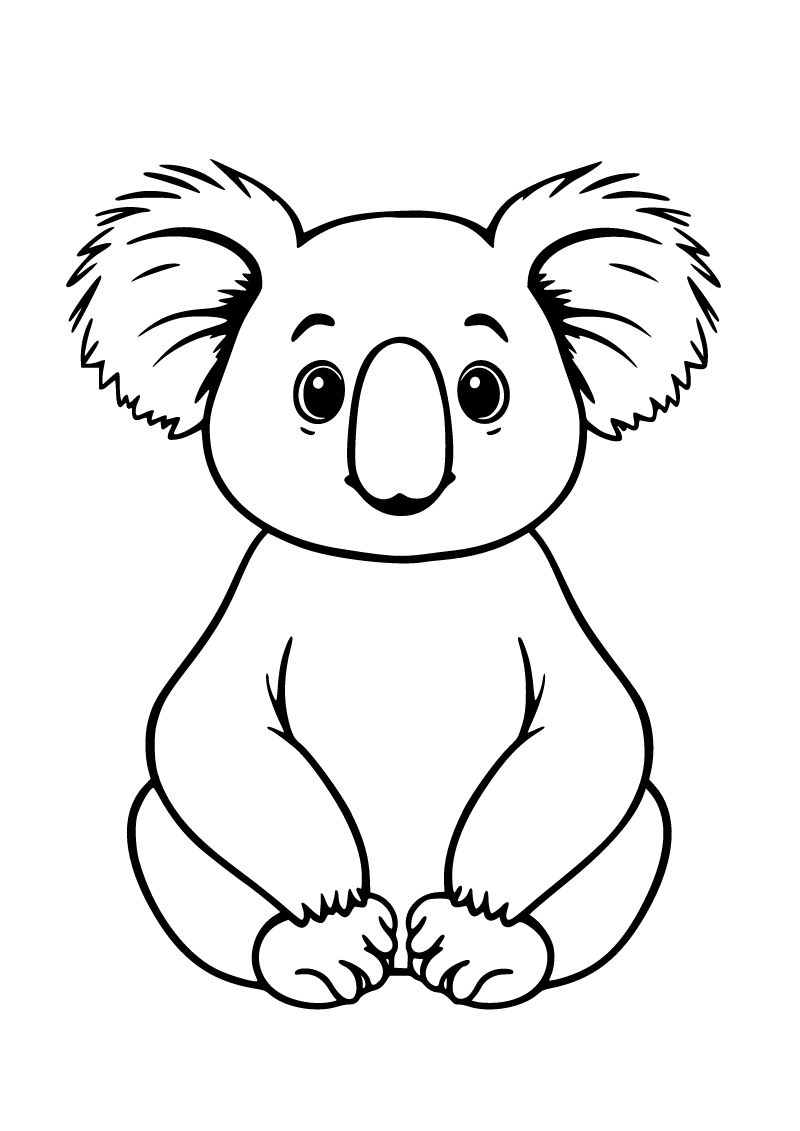 Koala boyama sayfası