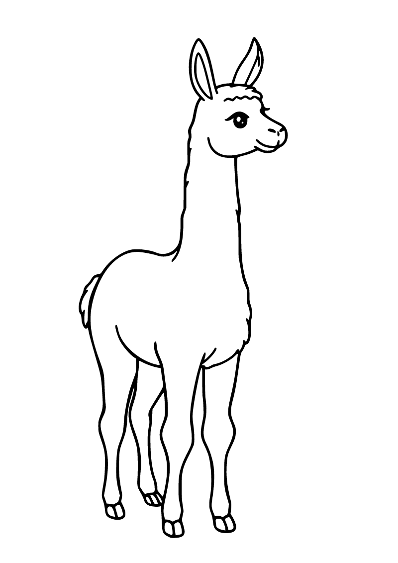 Lama boyama sayfası