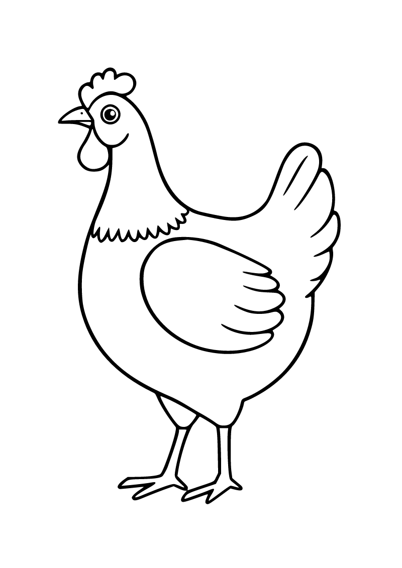 Tavuk boyama sayfası